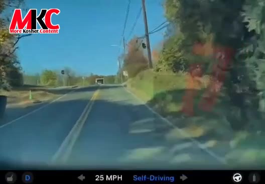 דראמאטישער ווידעא: א איד מיט א טעסלא איז ארויסגעקומען אומבאשעדיגט פון א שיער-נישט עקסידענט נעבן מאנסי, ווען…