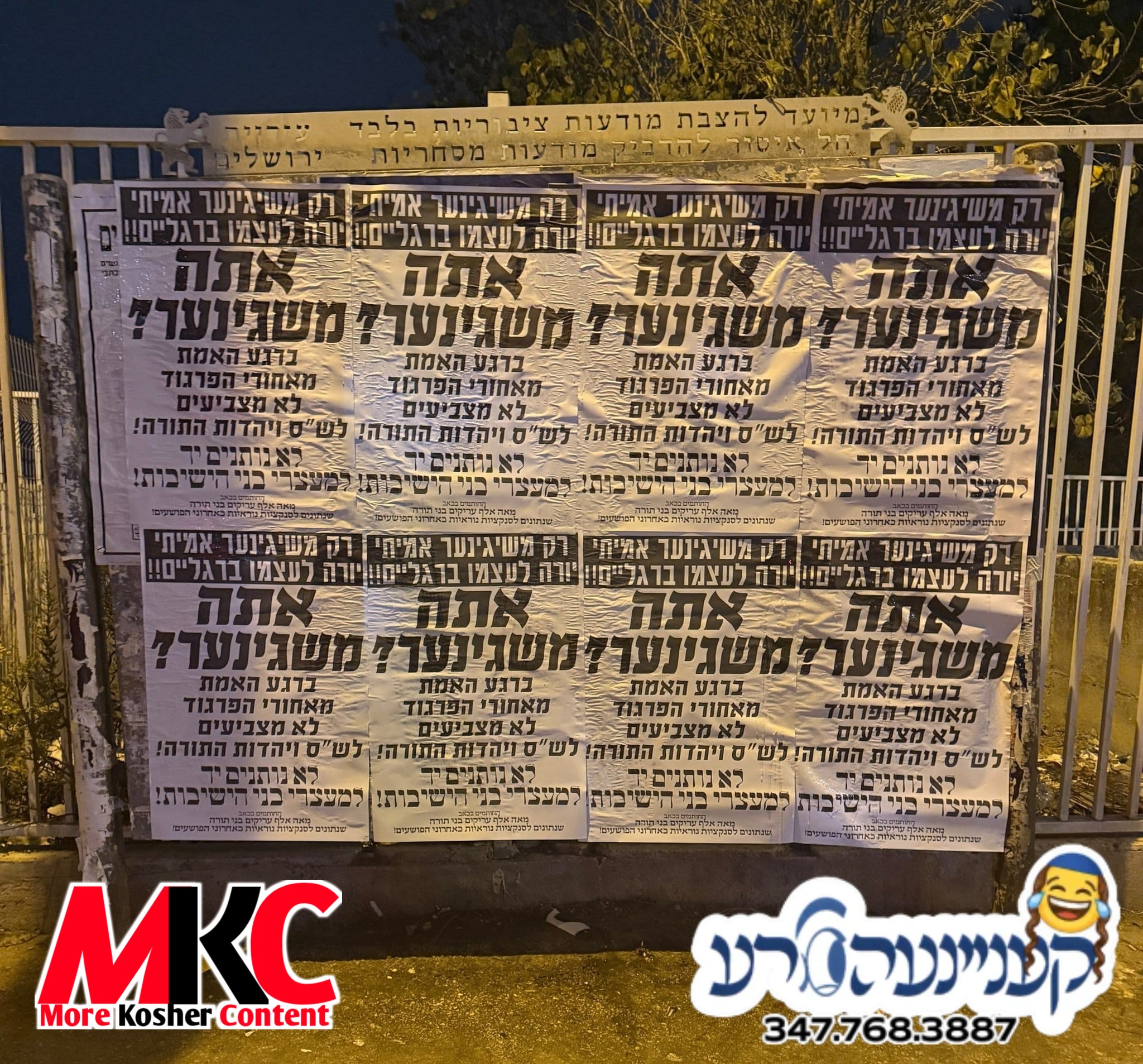 'ביסט א משוגענער' אויף פלאקאטן קעגן די בחירות אין ארץ ישראל.