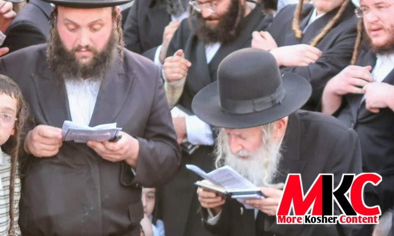 טראגעדיע אין אמשינאוו: שנור פון אמשינאווער רבי'ן שליט"א נפטר געווארן אין עלטער פון 34, לאזט איבער אכט קליינ…