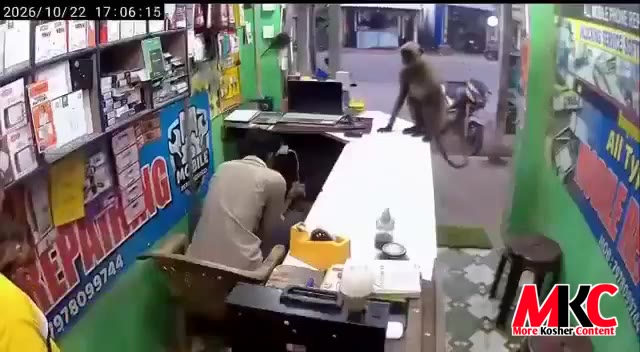 זעט נאר: א מאלפע קומט אריין אין א טעלעפאן רעפעיר געשעפט אין אינדיע צו געבן דעם אייגנטימער א האג