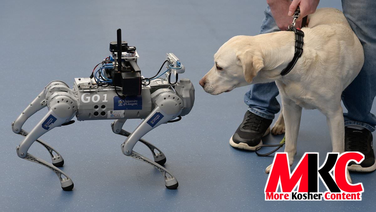 The robot dog-pocalypse: San Francisco start-up is paying gig workers $20 an hour to walk robot canines for…