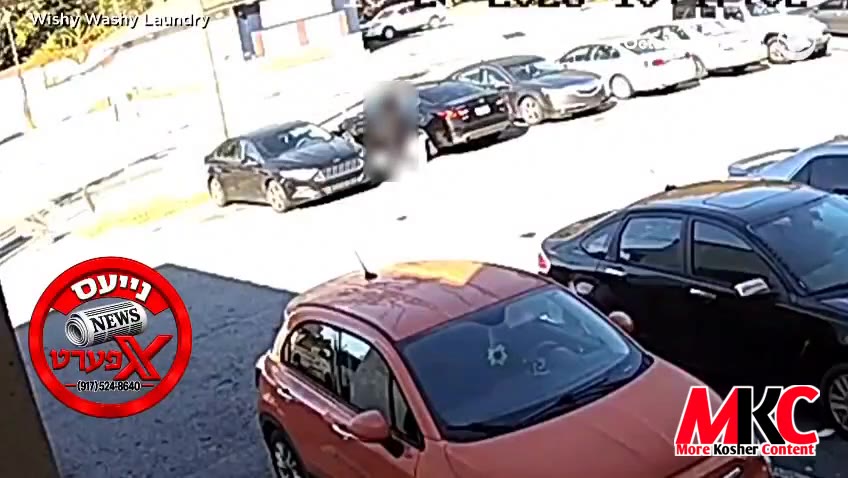 א הירש האט זיך אנגעשטויסן אין א פרוי אין א פארקינג לאט אין נארט קאראליינע, בעפאר'ן אריינקראכן דורך א פענסטער…