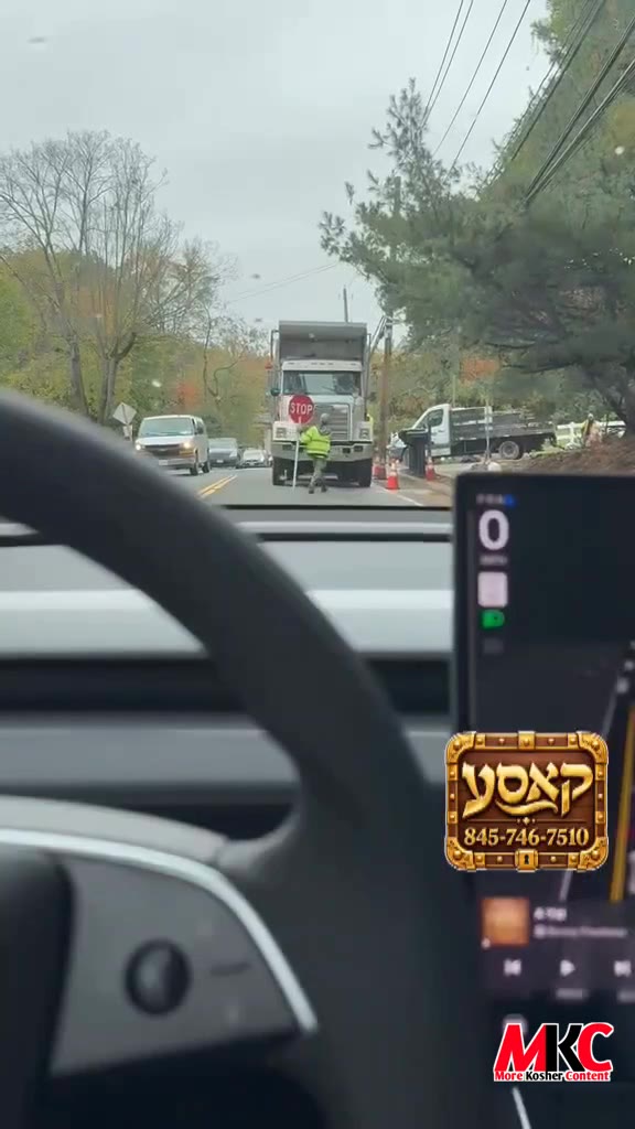 א לייענער שיקט אריין ווי זיין טעסלא פאלגט די אנווייזונגען ווי א טאטעלע...