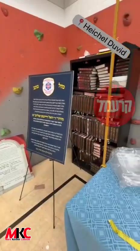 מאנטרעאל וועט נישט הונגערן היינט נאכט. ענדלאזע ברבורים ושליו ודגים ביים וואכנאכט פון דינאמישער בוני עולם עסק…