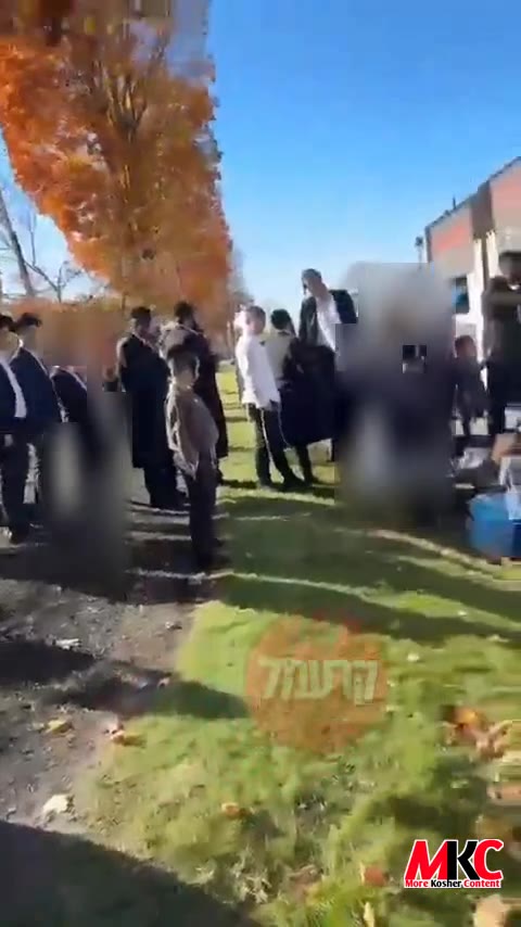 די קרעמל אינדארסירטע 'פאפריקע' טרעקל אנגעפילט מיט מענטשן וועלכע קומען שטימען ביי די עירלי-וואוטיג אינעם היצי…